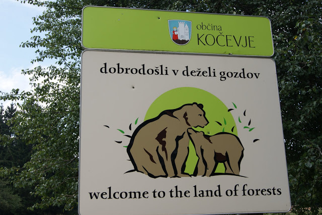 Forêt de Kocevje